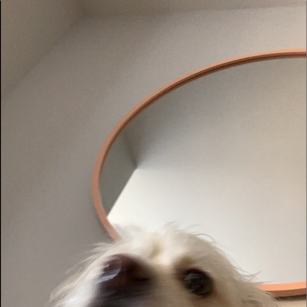 Meet your Posher, Liz